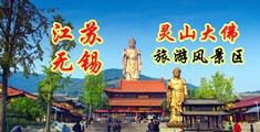 91使劲操视频江苏无锡灵山大佛旅游风景区