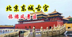 黑丝老师抠逼喷水中国北京-东城古宫旅游风景区